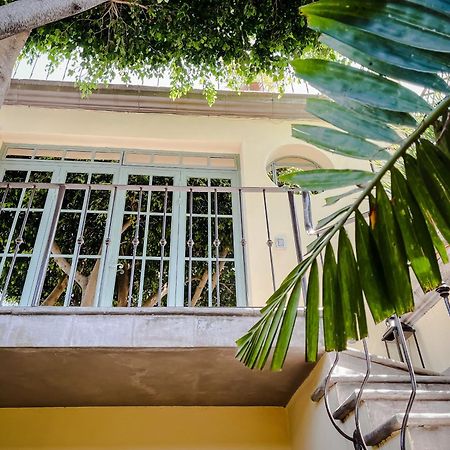 산미겔데아옌데 Casa Florida B&B 외부 사진