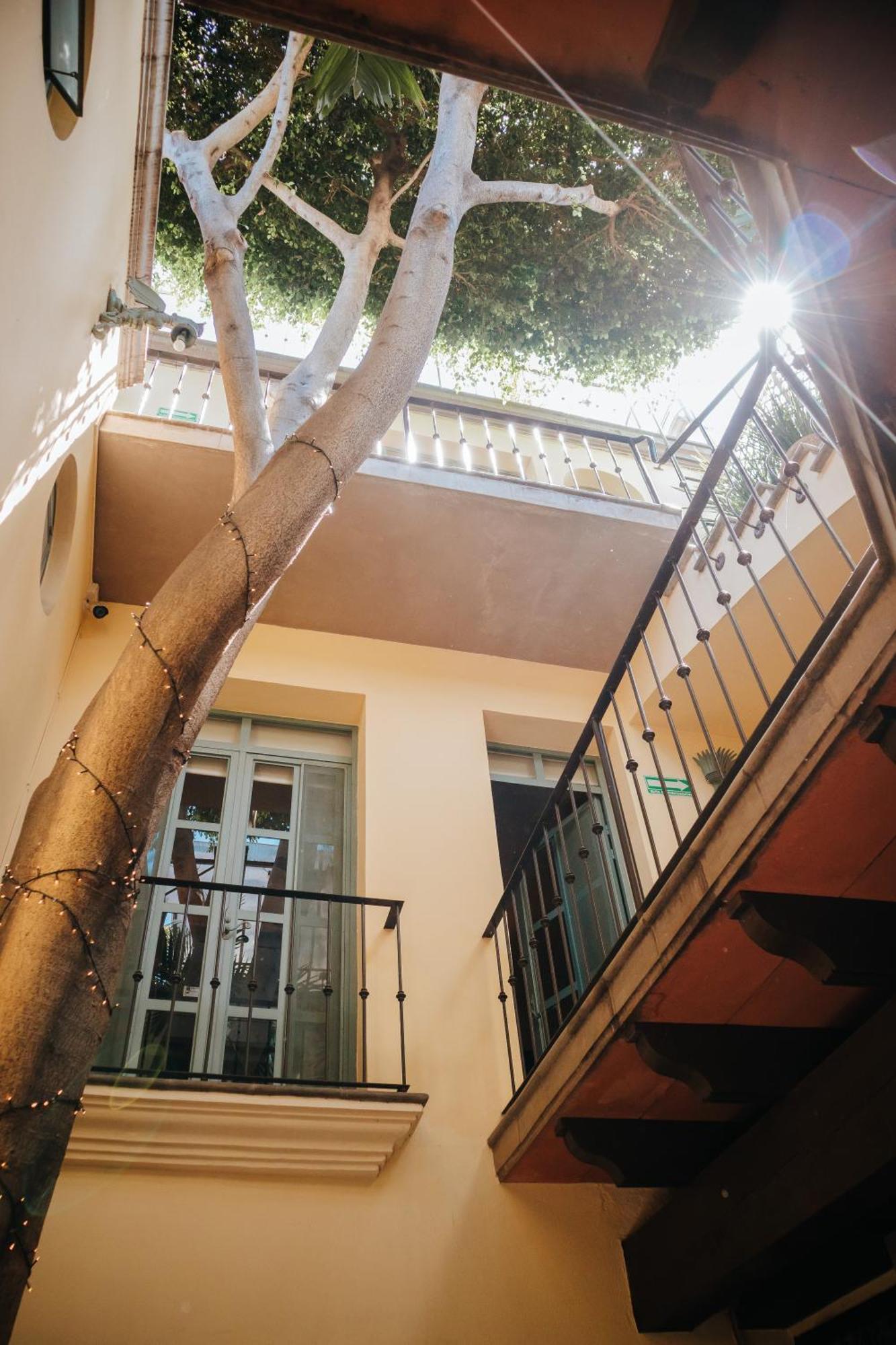 산미겔데아옌데 Casa Florida B&B 외부 사진