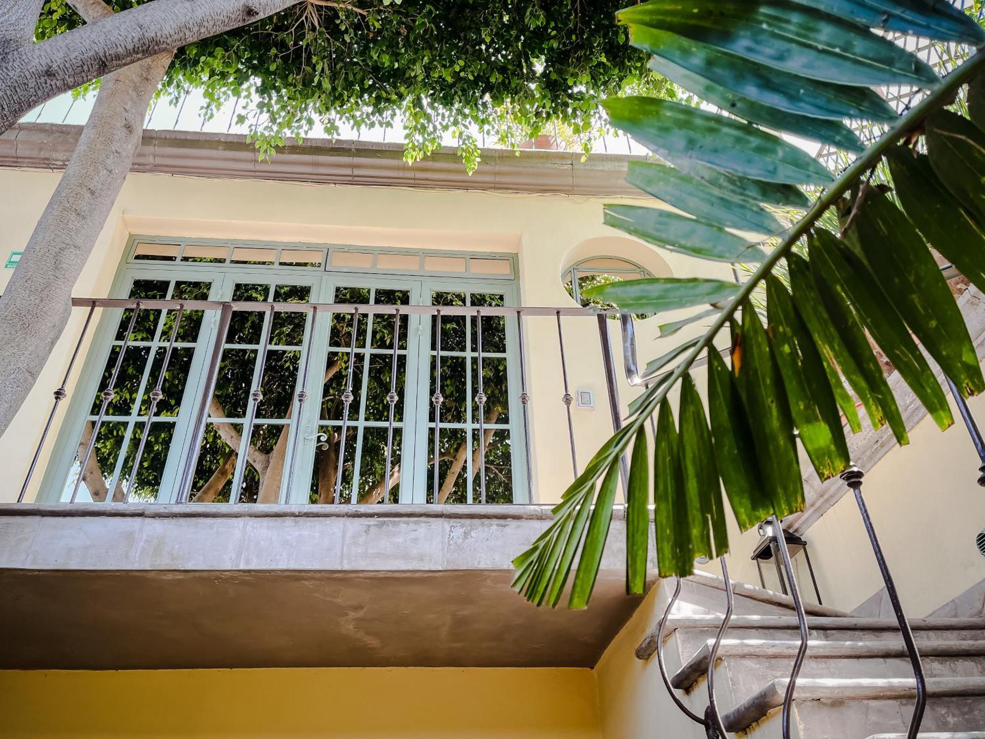 산미겔데아옌데 Casa Florida B&B 외부 사진